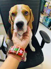 Cheer-me-up Xmas bangles - Red