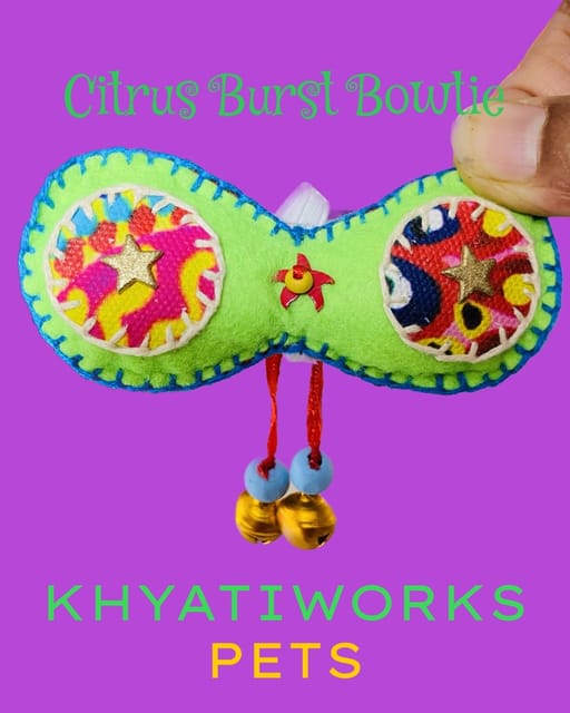 Citrus Burst Bowtie
