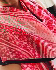 Enigma Kota Silk Stole