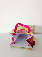 Spirited Pink - Beautiful Gift Bags Small