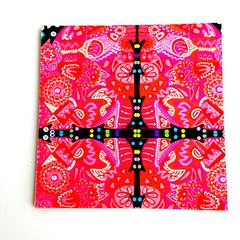 Vibgyorise-Cross Coaster