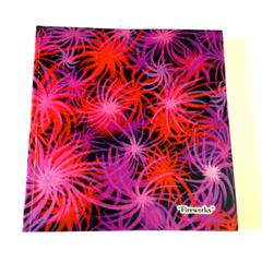Fireworks Artwork Notebook